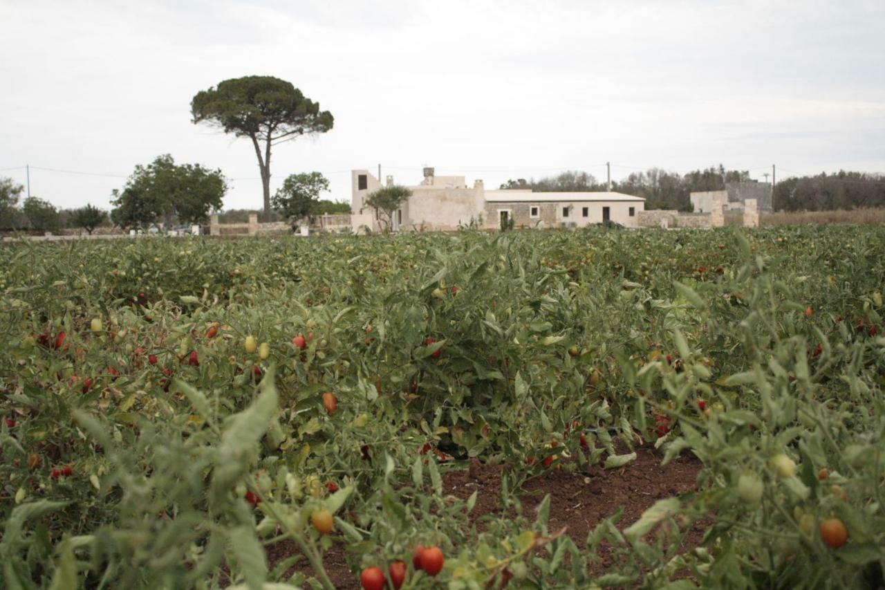 مبيت وإفطار Nardò Casina Solatia المظهر الخارجي الصورة